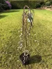 Salix caprea Pendula hängende Kätzchenweide Weide Stamm Produktbild-Vorschau 4