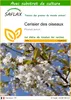 SAFLAX  - Cerisier des oiseaux - 10 graines - Avec substrat Voir les images du produit 1