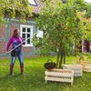 Obstpflücker Komfort | Drahtteile verzinkt | Ø 130 mm | Produktbild-Vorschau 4