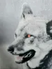 JACK Microfaser Print Bettwäsche 2 tlg. 135x200cm Wolf Produktbild-Vorschau 4