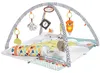 Fisher-Price HBB74, Baby-Turnhalle, Spielbügel, Mit Ton, Produktbild-Vorschau 2