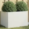 A white rectangular planter with two green bushes inside, placed on grass in front of a wooden fence. Anteprima dell’immagine prodotto