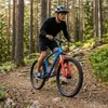 Mountain bike da 26 pollici MTB Tiger Bike, 7 velocità, Anteprima dell’immagine prodotto 6