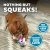 Peluche Outward Hound Durablez® con cuciture rinforzate, Anteprima dell’immagine prodotto 4