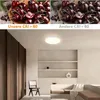 ZMH LED stropní svítidlo bílé ploché stropní svítidlo 22 cm Náhled obrázku produktu 6
