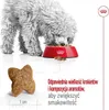 Royal Canin Hundetrockenfutter Adult Mini 2 kg Geflügel Produktbild-Vorschau 6