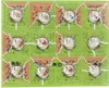Carcassonne - Die Wachtürme Promo Mini Erweiterung (neue Produktbild-Vorschau 1
