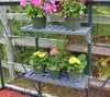 Shelving unit with potted plants inside a greenhouse. Náhľad obrázku produktu