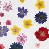 Creativ Company 504475, Gemischte Farben Produktbild-Vorschau 4