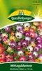 Mittagsblume Mischung | Blumensamenmischung von Produktbild-Vorschau 1