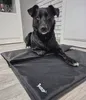 PURLOV Kühlmatte Hund für Hunde & Katzen 110x70 cm - Produktbild-Vorschau 3