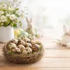 60x Wachteleier Natur ausgeblasen gereinigt Deko Ostern Produktbild-Vorschau 3