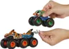 Hw Monster Trucks Camions 1:64 Asst Voir les images du produit 16