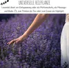 300x Lavendel Samen mit hoher Keimrate - Vielseitig Produktbild-Vorschau 4