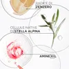 A collage of ingredients and scientific representations related to hair care. Náhled obrázku produktu