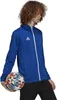 Adidas Entrada 22 Trainingsjacke Herren - Royal Produktbild-Vorschau 12