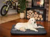 Hobbydog Hundematratze Hundebett Schlaffplatz Katzenbett Produktbild-Vorschau 2