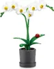 Mini Marchi giardino botanico assortiti Anteprima dell’immagine prodotto 12