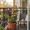 Grate per rampicanti Relaxdays, set da 4, A x L: 82 x 31 Anteprima dell’immagine prodotto 6