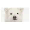 MuchoWow® Mauspad Mousepad Eisbär - Tiere - Weiß - Kinder - Produktbild-Vorschau 1