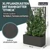 XL Spalier 'Ethica' mit Pflanzkübel Breit 80x36x140 cm - Produktbild-Vorschau 2