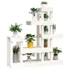 A white wooden plant stand filled with various potted plants, displayed against a white background. Náhled obrázku produktu