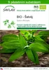 SAFLAX - BIO - Šalvěj - Salvia officinalis - 60 Semena - S Náhled obrázku produktu 1
