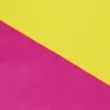LGBT Regenbogenflagge groß 90 x 150 cm Pansexualität F2 Produktbild-Vorschau 13