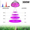 300W LED Pflanzenlampe E27, Vollspektrum Pflanzenlicht mit Produktbild-Vorschau 6