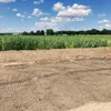 Siatka na krety 1x50m 55g/m2 16x16 mm Czarna Solidna Podgląd zdjęcia produktu 5