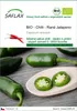 SAFLAX - BIO - Chilli - Rané Jalapeno - Capsicum annuum - Náhled obrázku produktu 1
