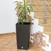 A tall, dark brown planter with a textured surface stands next to a staircase with tan tiles and a brick accent wall. Anteprima dell’immagine prodotto