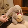 Plüsch Hase 28 cm mit Kuchen – Kawaii Konijn Kuscheltier – Produktbild-Vorschau 5