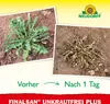 Vorher= Viel Unkraut
Nachher = Unkraut vernichtet Produktbild-Vorschau