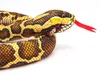 A close-up studio shot of a plush toy snake. Produktbild-Vorschau