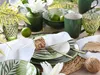 CreaTable, 25860, Tropicana green, sada tanierov 12 ks, Náhľad obrázku produktu 8