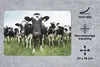 MuchoWow® Mauspad Mousepad Kühe - Gras - Frühling - Tiere - Produktbild-Vorschau 2