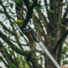 Fiskars Upx86 Teleskopické Univerzální Zahradní Nůžky Náhled obrázku produktu 22