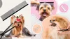 A collage of images showing dogs being groomed with scissors and combs. Náhľad obrázku produktu