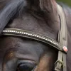 Kieffer Trensenzaum Ultrasoft - braun - Warmblut Produktbild-Vorschau 3