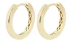 333er Gold Klapp-Creolen "Elestria", Gelbgold, 8 Karat, Produktbild-Vorschau 2
