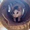 Katzentunnel Spieltunnel Katzenspielzeug 2in1 Kuscheltunnel Produktbild-Vorschau 5