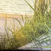 Tapisserie Natur Wandtuch Sonnenuntergang am Meer Produktbild-Vorschau 3
