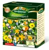 Blumenteppich Augenweide ohne Gräser Produktbild-Vorschau 2