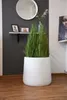 VIVANNO Blumentopf Fiberglas VEKRA Rund, Weiß matt - 55x50 Produktbild-Vorschau 2