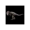 Tyrannosaurus Náhled obrázku produktu 3