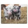 MuchoWow® Mauspad Mousepad Schwein - Tiere - Ferkel 23x19 Produktbild-Vorschau 1