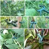 Pflanzen Clips Set Rankhilfe Tomatenhalter wiederverwendbar Produktbild-Vorschau 8
