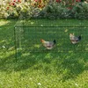 Two chickens are in a fenced-in area on a grassy lawn with red flowers in the background. Anteprima dell’immagine prodotto
