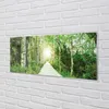 Glasbilder 125x50 Wandkunst Birke Forstweg Produktbild-Vorschau 2